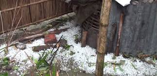 Image result for শিলা বà§à¦·à§à¦à¦¿