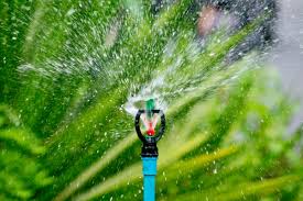 Watering new grass seed is a simple process that only requires a small investment of time. Irrigation And Water Management Professional Lawn Care Services