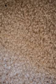rough carpet texture image free stock