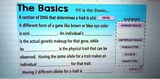 section of dna that determines a trait