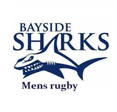 mens bayside sharks rugby