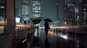 rain rainy night umbrella silhouette