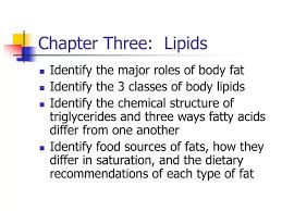 ppt chapter three lipids powerpoint
