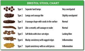 bristol stool chart types of is