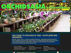 asia phalaenopsis vendor resources