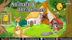 Animal And Their Homes Chart Animals And Their Homes
