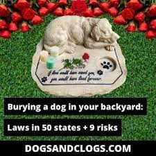 burying a dog in your backyard laws in