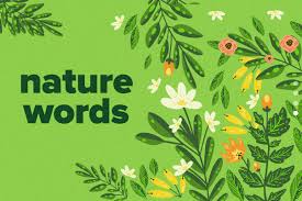 160 essential nature words to grow your