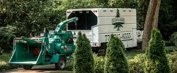 Atlanta Arbor Tree Care Specialist, LLC