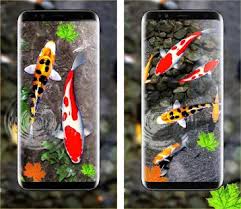 3d koi fish wallpaper hd 3d fish live