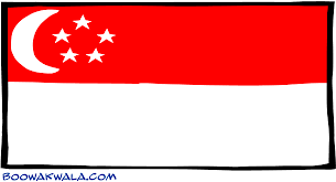 Image result for flag of singapore picture