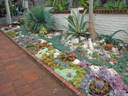 Plant An Outdoor Succulent Garden