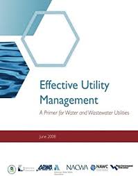 Using the free clipboard viewer you will be able to see exactly. Effective Utility Management A Primer For Water And Wastewater Utilities By Agency Environmental Protection Amazon Ae