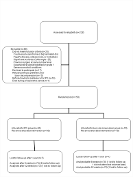 Flow Chart Of Enrollment And Follow Up Ipd Interspinous