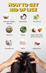 get rid of head lice