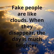 People's bulls*** and fakeness are the main reasons why i like to be alone. 19. 150 Fake People Fake Friend Quotes With Images