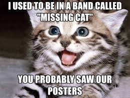 If clearly stated, photos of cat(s) you don't know is allowed, within reason. I Used To Be In A Band Called Missing Cat You Probably Saw Our Posters One Liner Linus Meme Generator