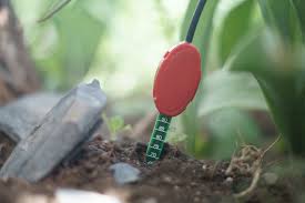 Soil Moisture Sensor Vh400