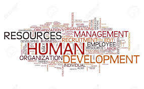 Foundations of Human Development in the Social Environment Paper    