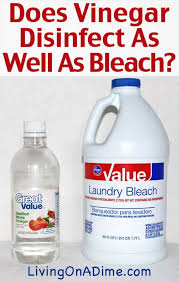 vinegar disinfect as well as bleach