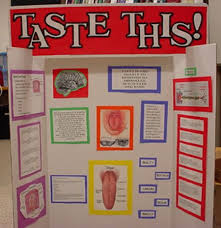 Poster Board Presentation Ideas An Example Of A Student