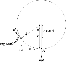 The Vertical Pendulum