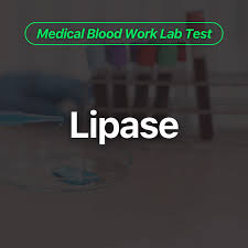 lipase blood work test wittmer
