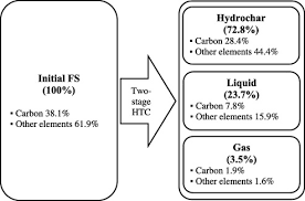 Effects Of Hydrolysis And Carbonization Reactions On