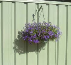 Colorbond Fence Hanging Basket Hangup