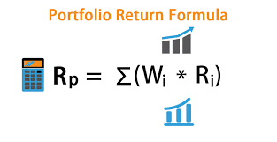 Portfolio Return Formula Calculator