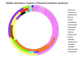 Donut Chart Of Relative Abundance Of Bacteria Genus Level In