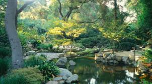 Guide To Descanso Gardens Cbs Los Angeles