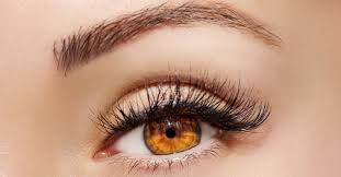 makeup tips for healthy eyes eyelux