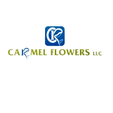 flower delivery dubai carmel flowers
