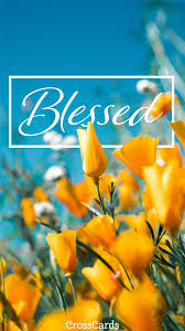 blessed wallpaper phone wallpaper and