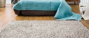 find the perfect area rugs today