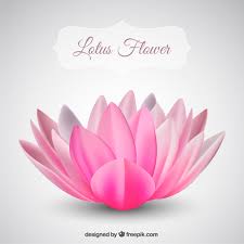 Pink Lotus Flower Vector Free Download