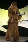 what-species-is-chewbacca