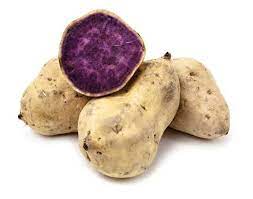 https://www.google.com/search/about-this-image?img=H4sIAAAAAAAA_-MS4dh6rm_fqd8_nocIHGtf_PjMtF2HKwCvWhXxFgAAAA%3D%3D&q=https://www.motherearthgardener.com/plant-profiles/purple-sweet-potatoes-antient-superfood-zm0z18szphe/&ctx=iv&hl=en-US gambar png