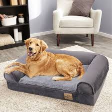 dog sofa beds