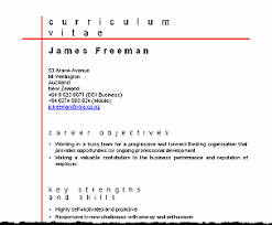Cv Examples Nz Free   Best Free CV templates