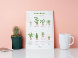Houseplant Care Printables For Any Plant Lover Proflowers Blog