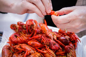 guide to crawfish new orleans