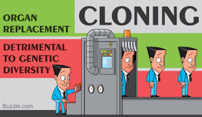 These Pros And Cons Of Cloning Are Both Fascinating And Scary
