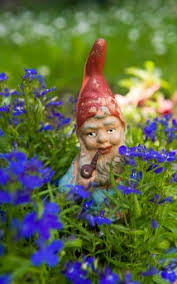 the slow decline of the garden gnome
