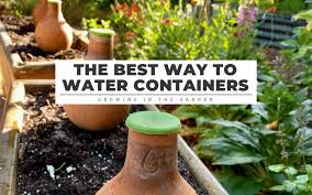 water outdoor potted plants