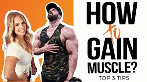 how to build muscle what to eat how