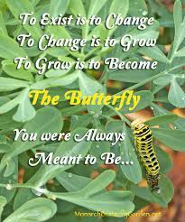 Get inspired by our community of talented artists. Black Swallowtail Caterpillar Quotes About Growth