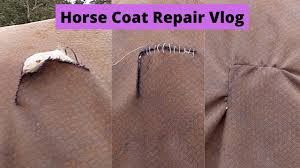 horse rug rip sewing vlog horse coat