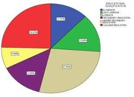Pie Chart Showing Educational Qualification Of Our Study